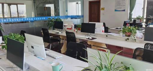 宁波IT培训与信息咨询服务 开启职业发展新篇章