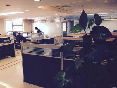 深圳市智鹏征信管理信息咨询服务解析